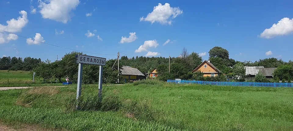 Белалозы