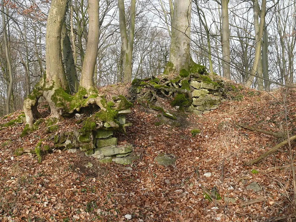 Schlossruine Bielriet