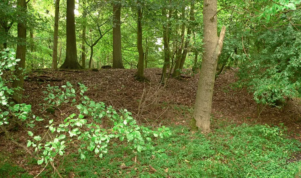 Burg Bierde