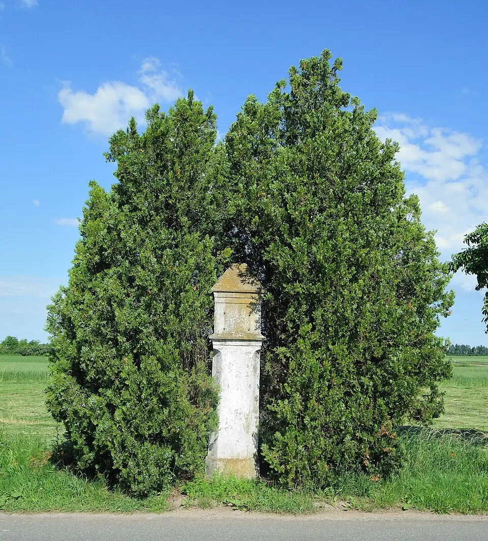Bildstock