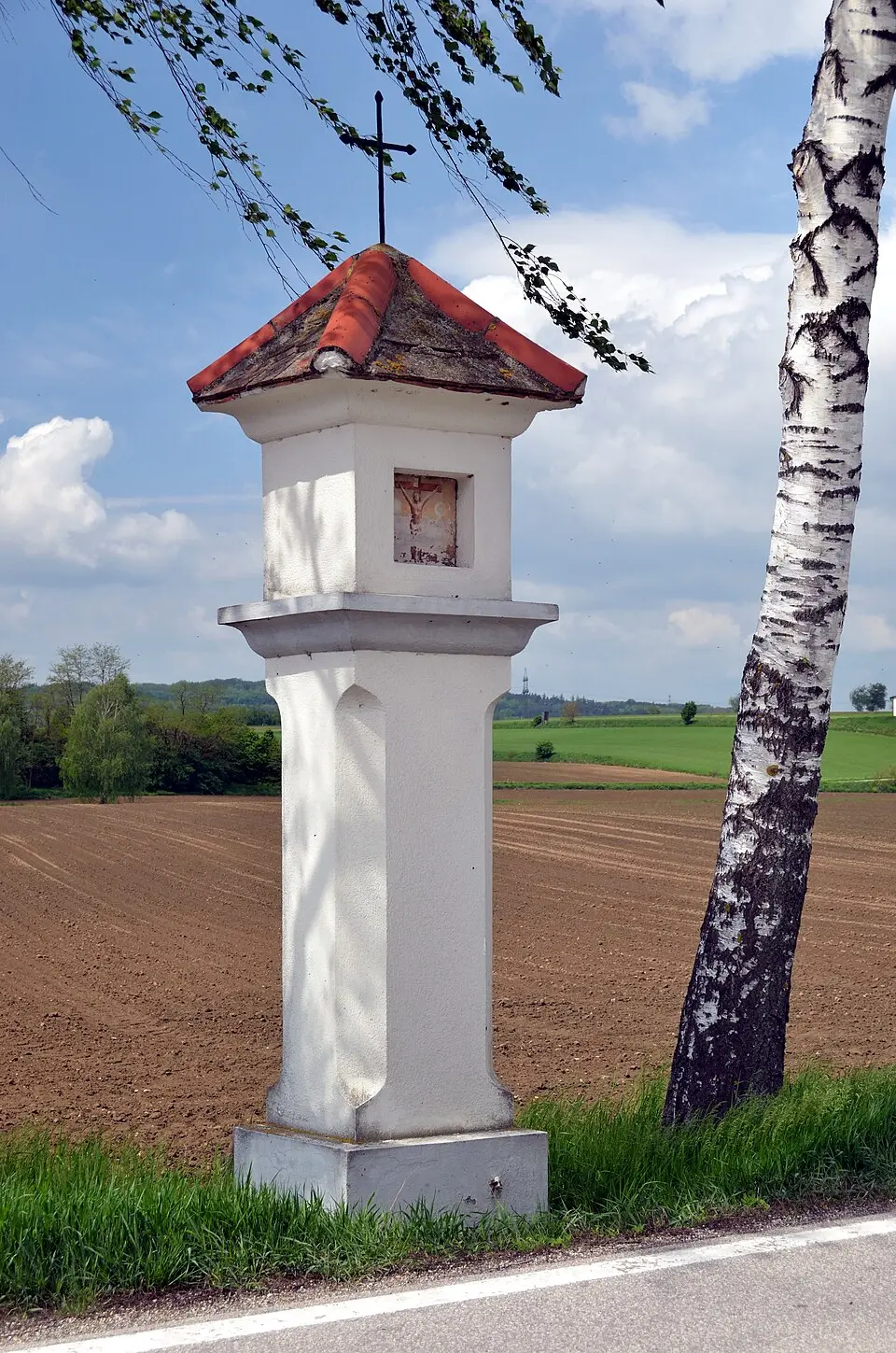Image: Herzi Pinki · CC BY-SA 3.0 AT Bildstock