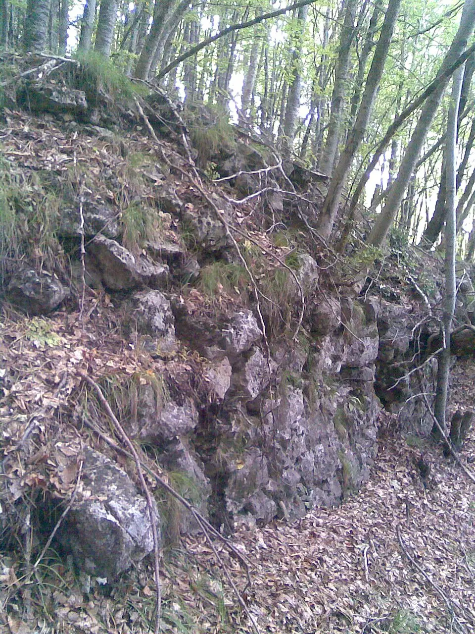 Kalaja e Dajtit