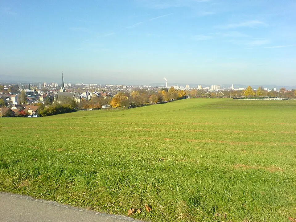 Image: Daendy at German Wikipedia · CC BY-SA 3.0 Binningen