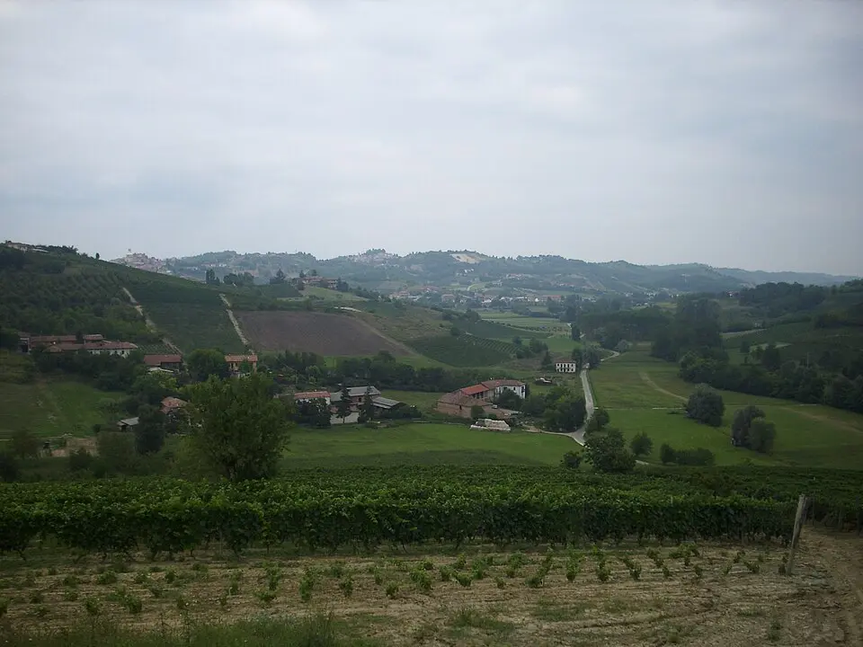Biolla