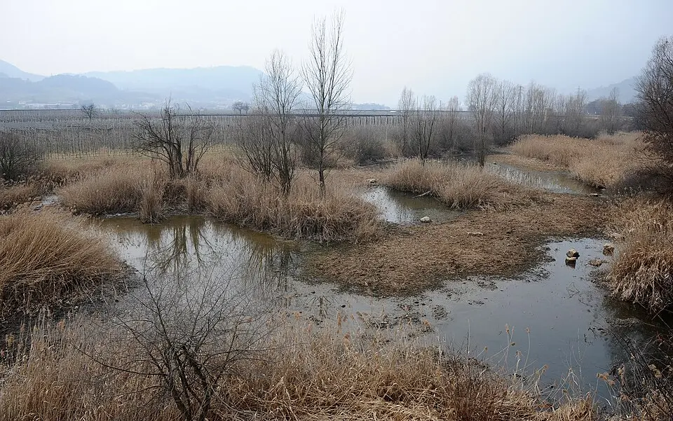 Biotopo Taio