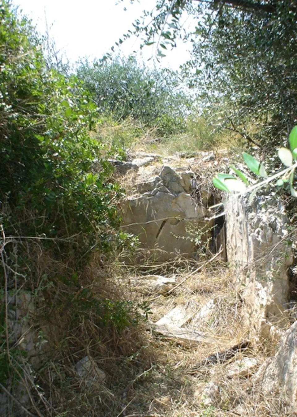 Dolmen di Albarosa