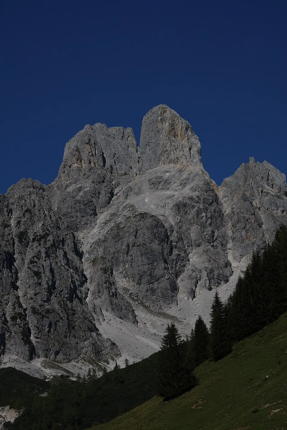 Slika: Ewald Gabardi · CC BY-SA 3.0 Kleine Bischofsmütze