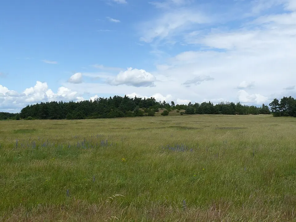 Biskoupský kopec
