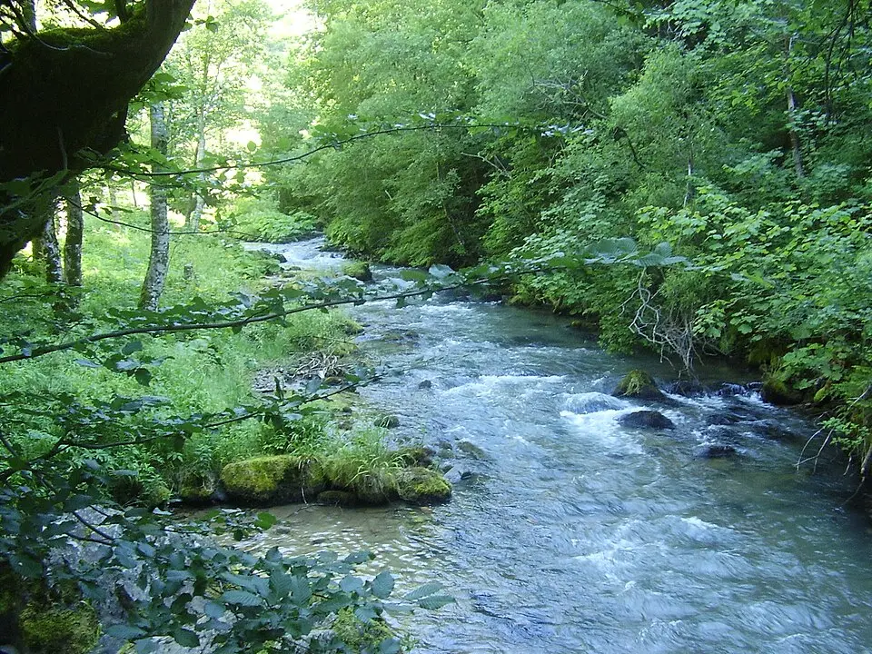 Bistrička rika