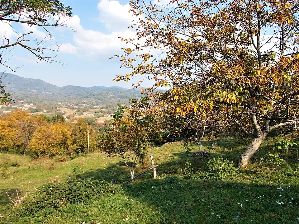 Bixad