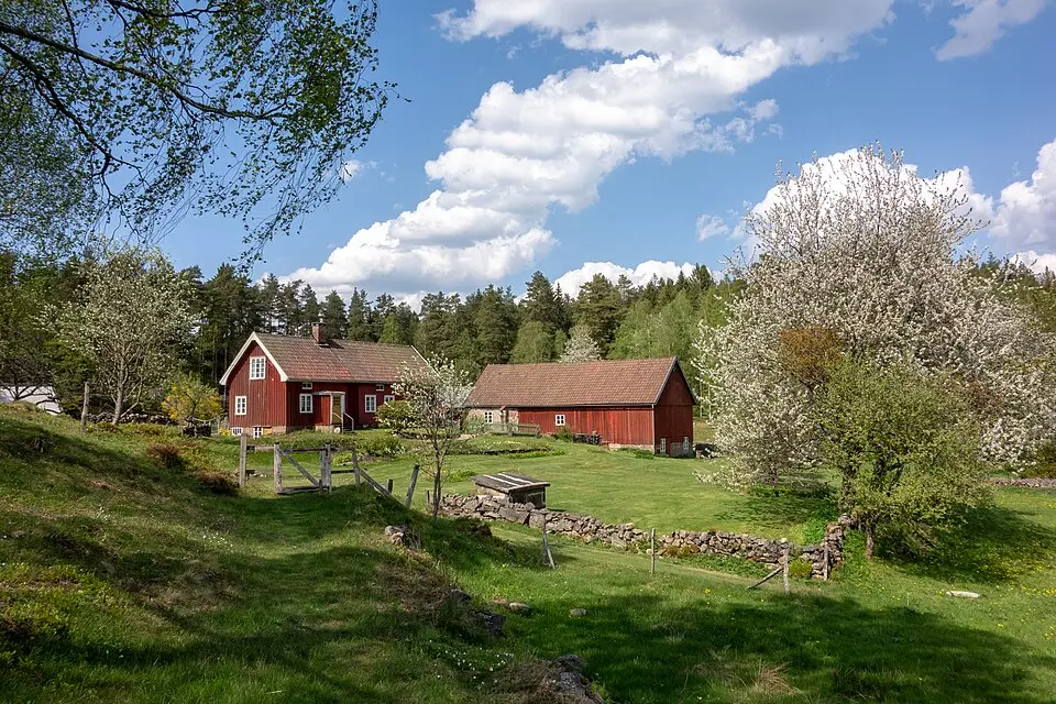 Björkekullen