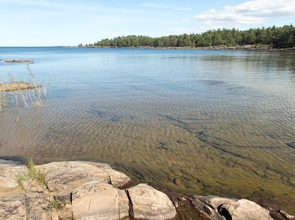 Björkkullasands naturreservat