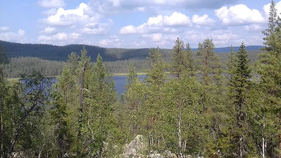 Björnlandet öst