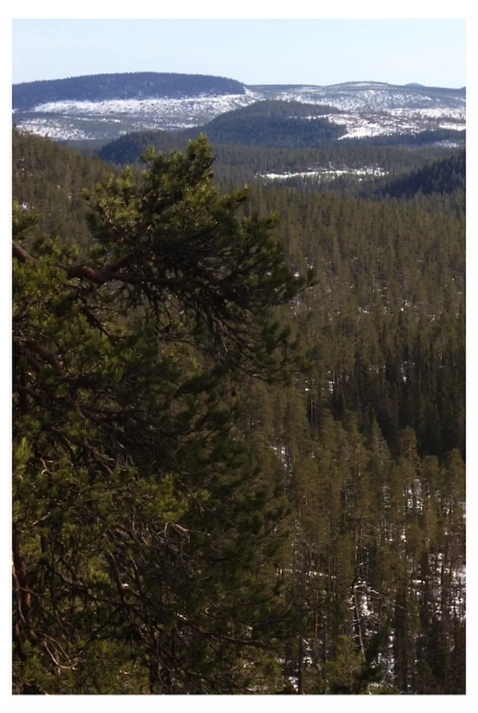 parc national de Björnlandet