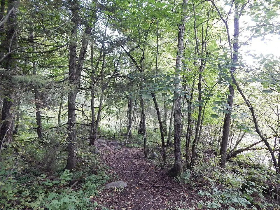 Bjørgedalen naturreservat