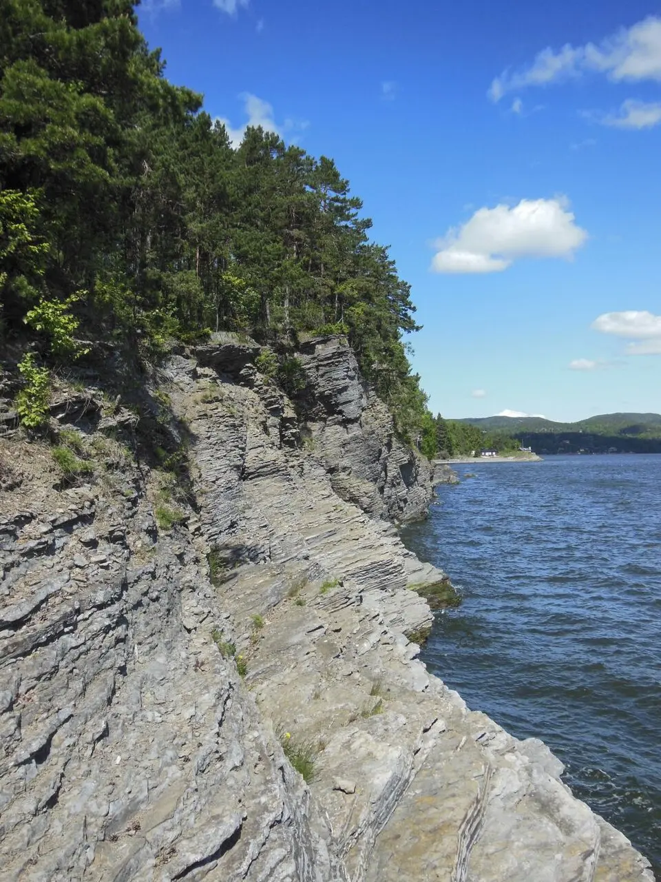 Bjørkøya naturreservat
