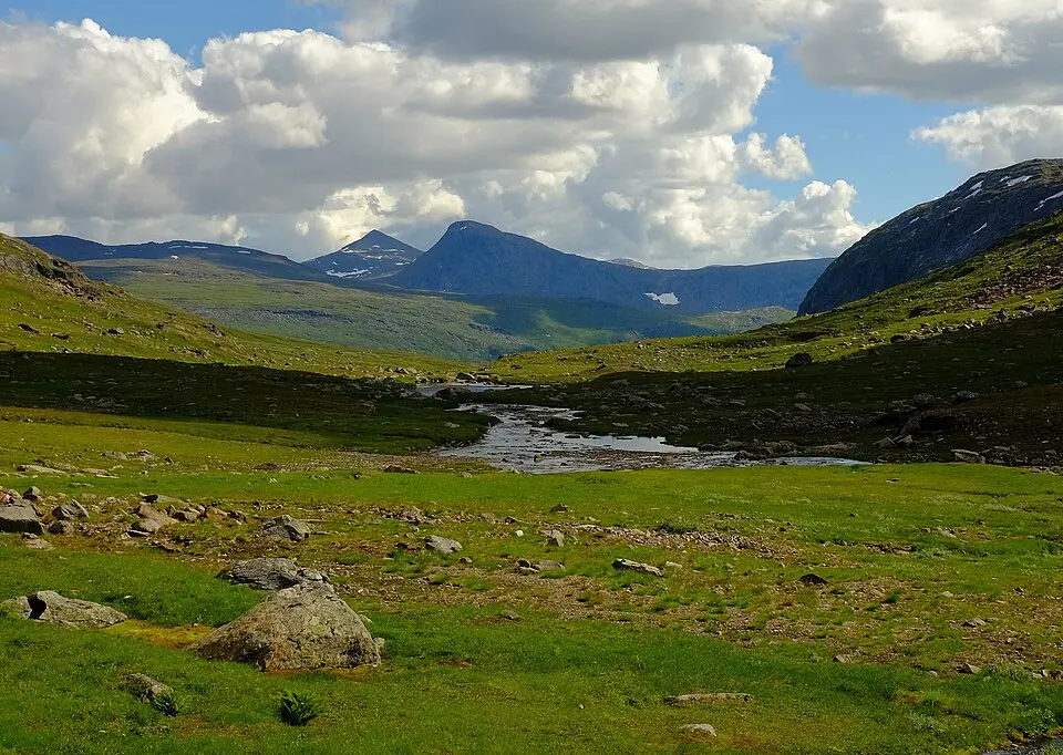 Bjørntoppen