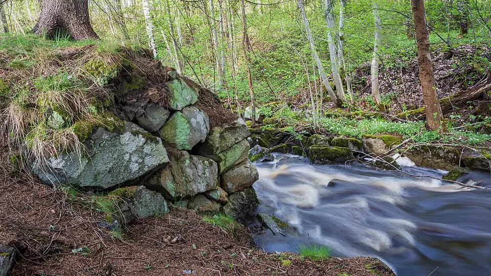 Bjurforsbäcken