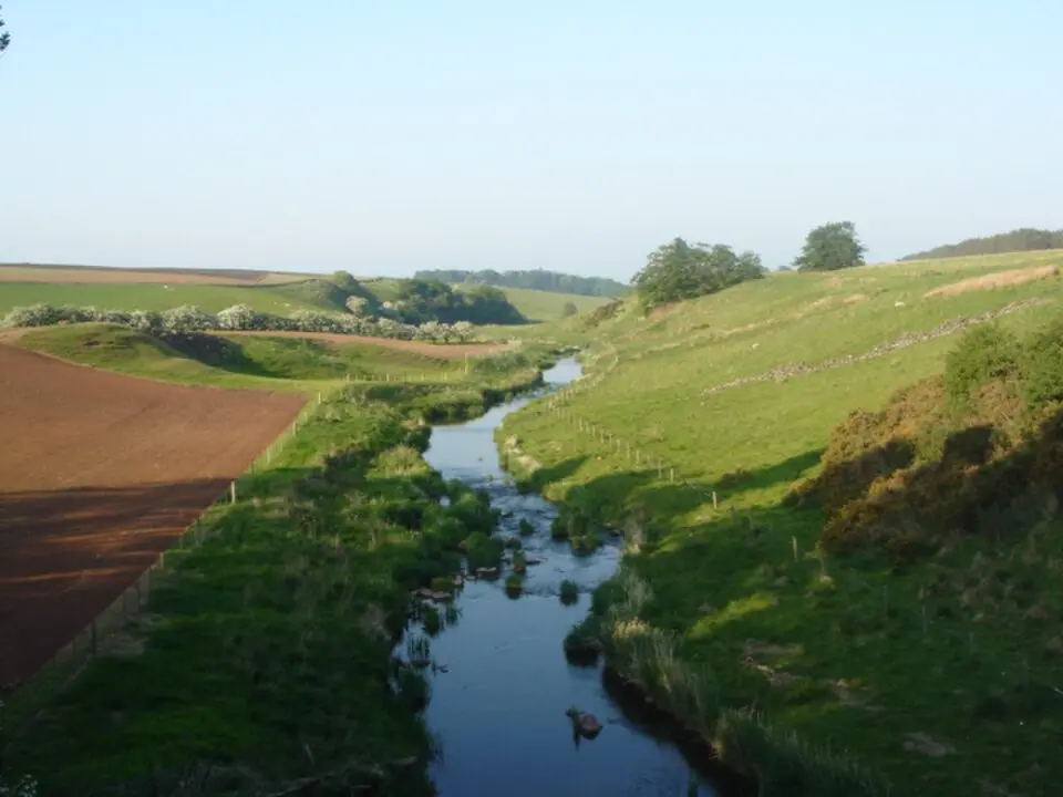 Blackadder Water