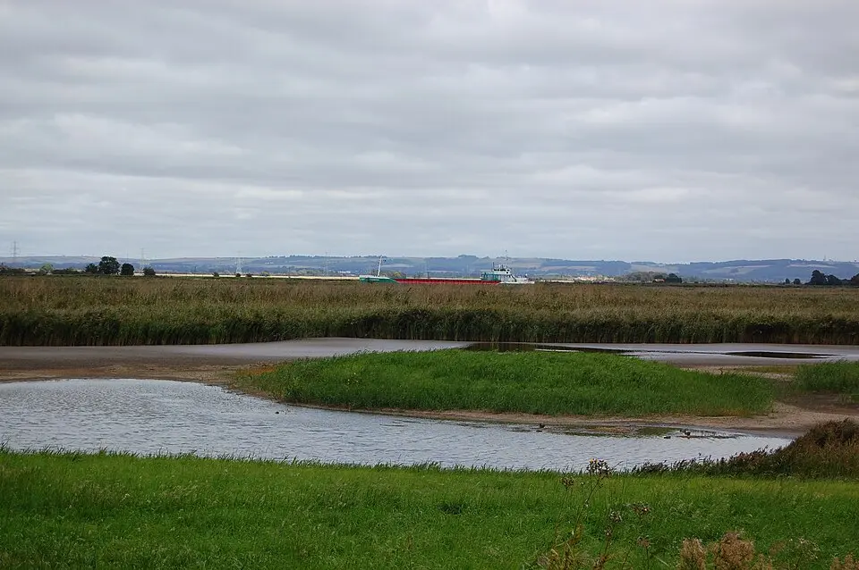 Blacktoft Sands RSPB reserve