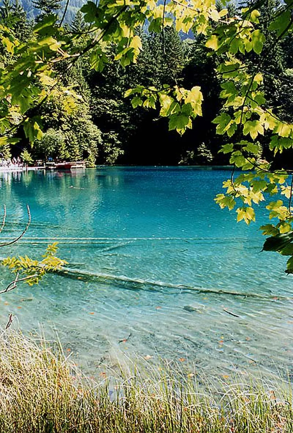 Blausee (Berner Oberland)