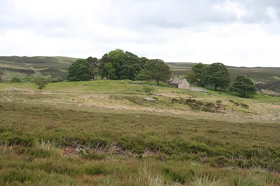 Bewick