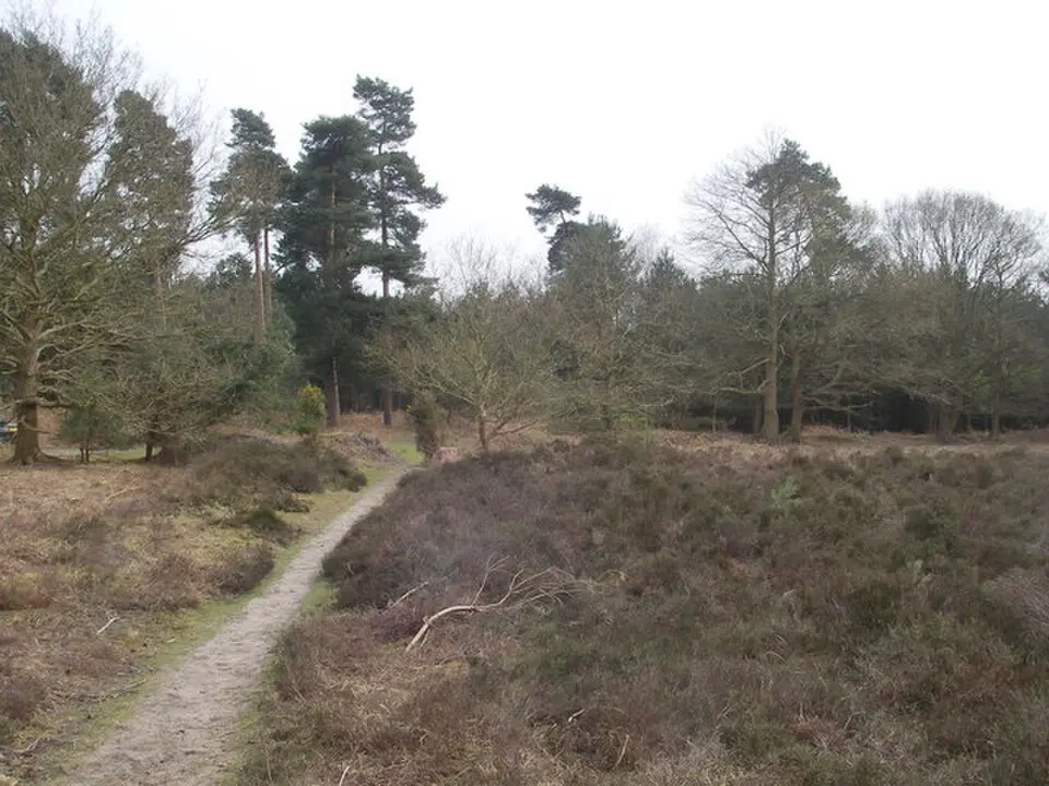 Blaxhall Common