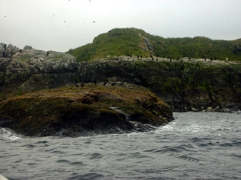 Bleiksøya naturreservat