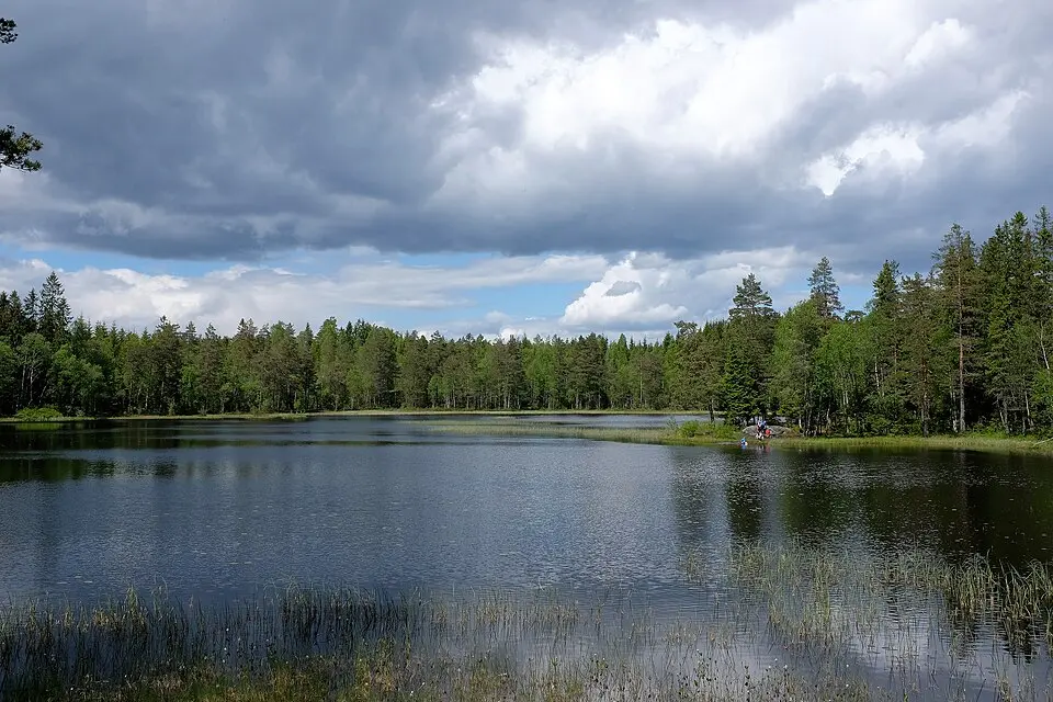 Slattumsrøa naturreservat