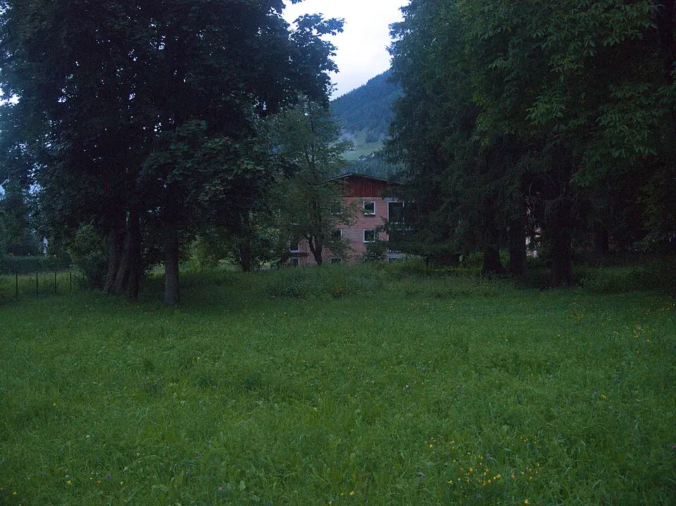 Feldrain beim Vogelhaus in Badbruck