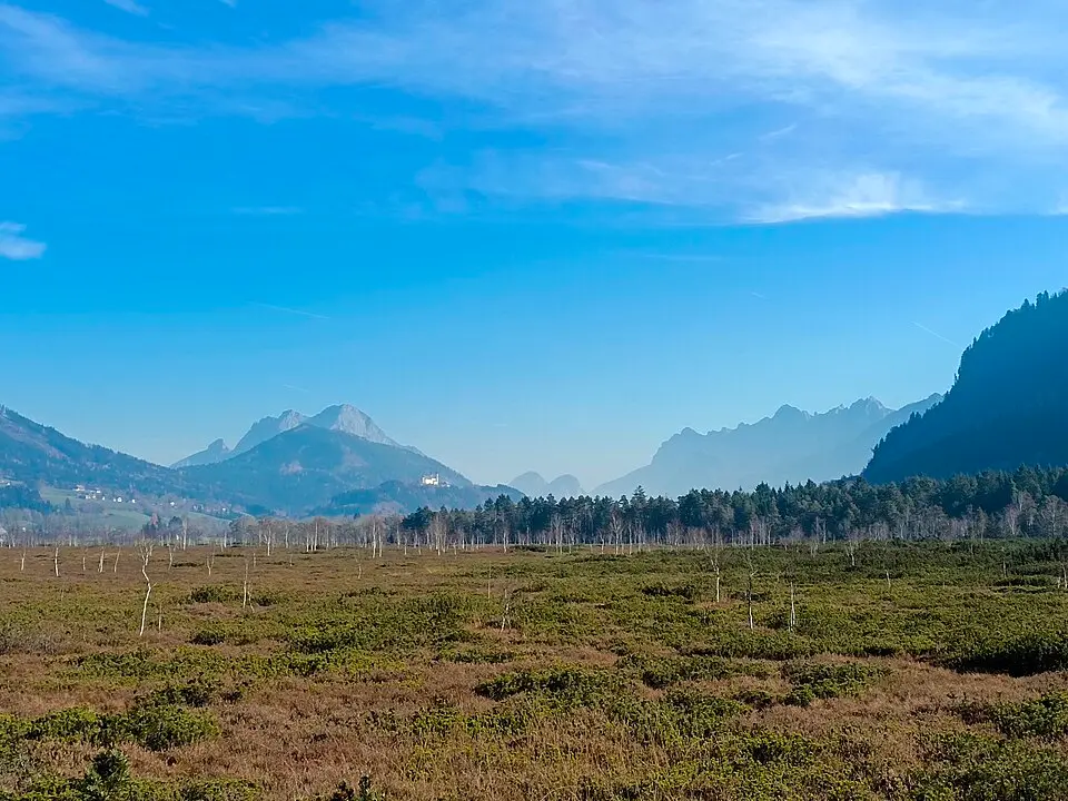 Pürgschachen-Moor