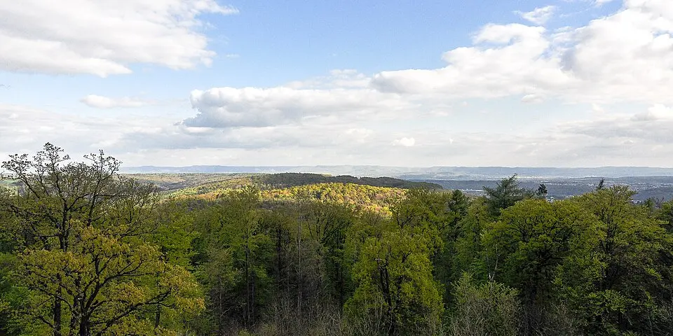 Schurwald