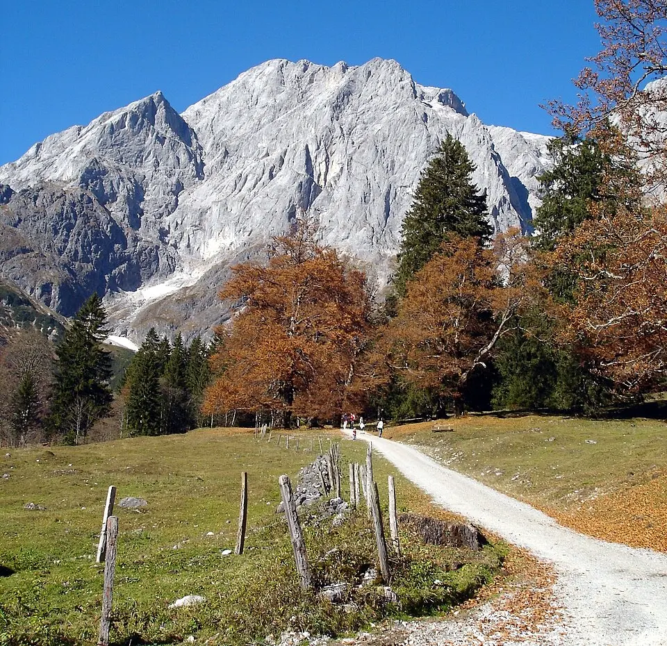 Image: mawieser · CC BY-SA 3.0 Großer Bratschenkopf