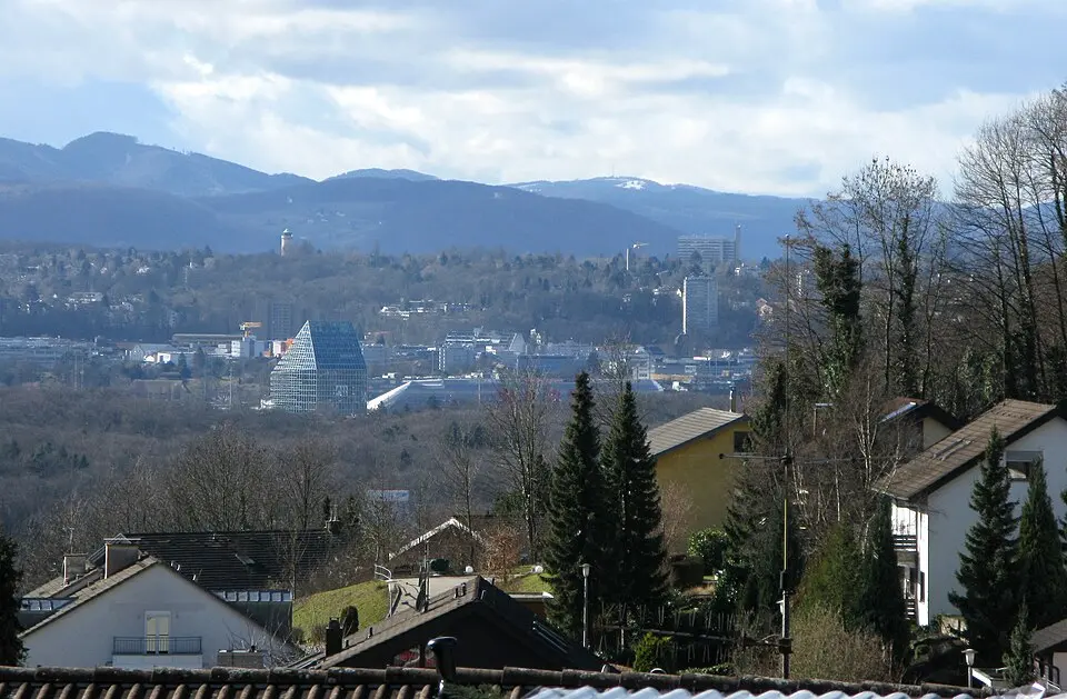 Bruderholz