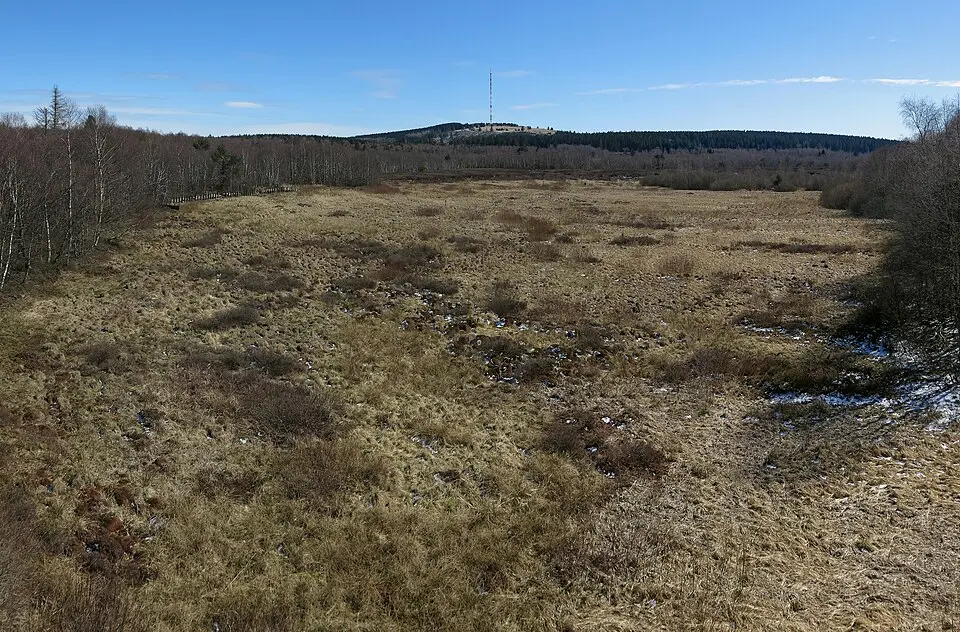 Rotes Moor