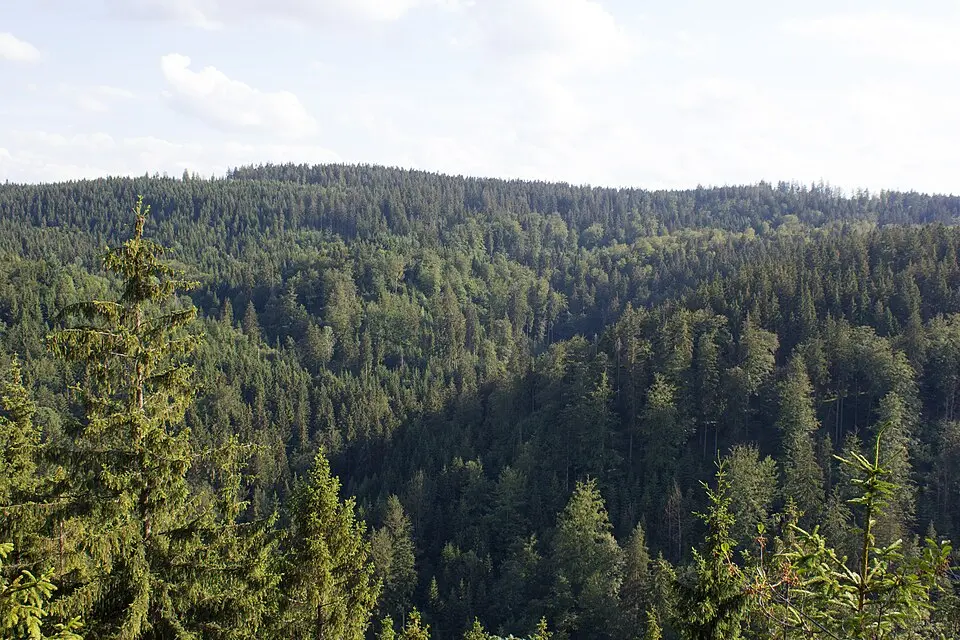 Franconian Forest Nature Park