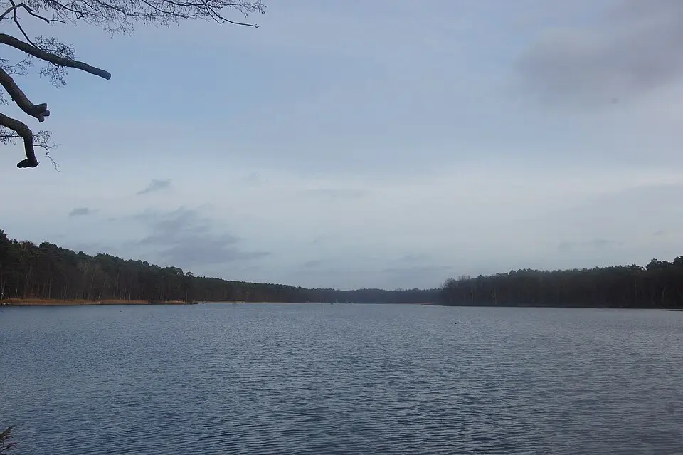 Haussee