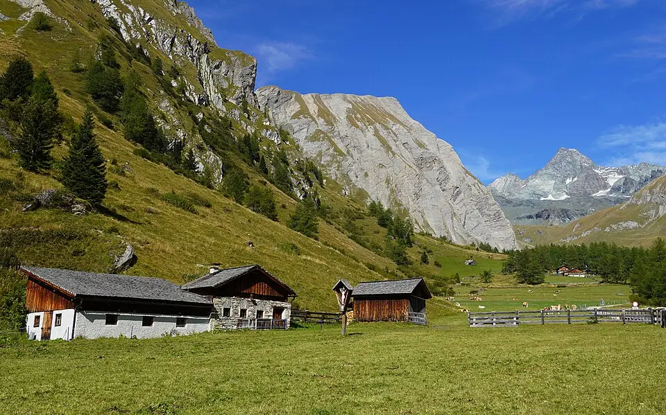 Freiwandspitze