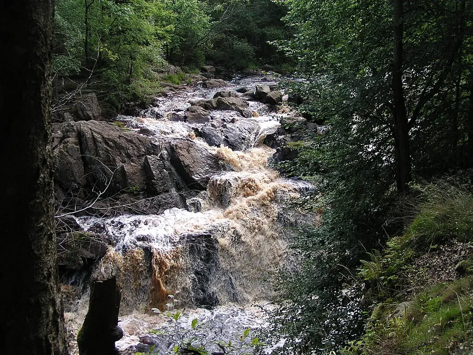 Danska fall