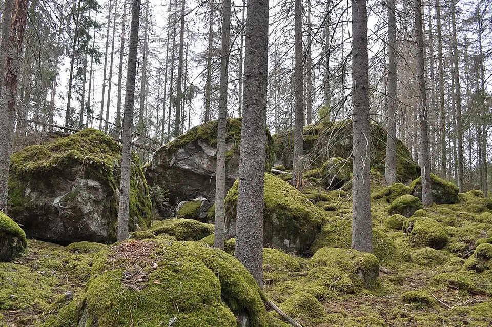Himlingeskogen