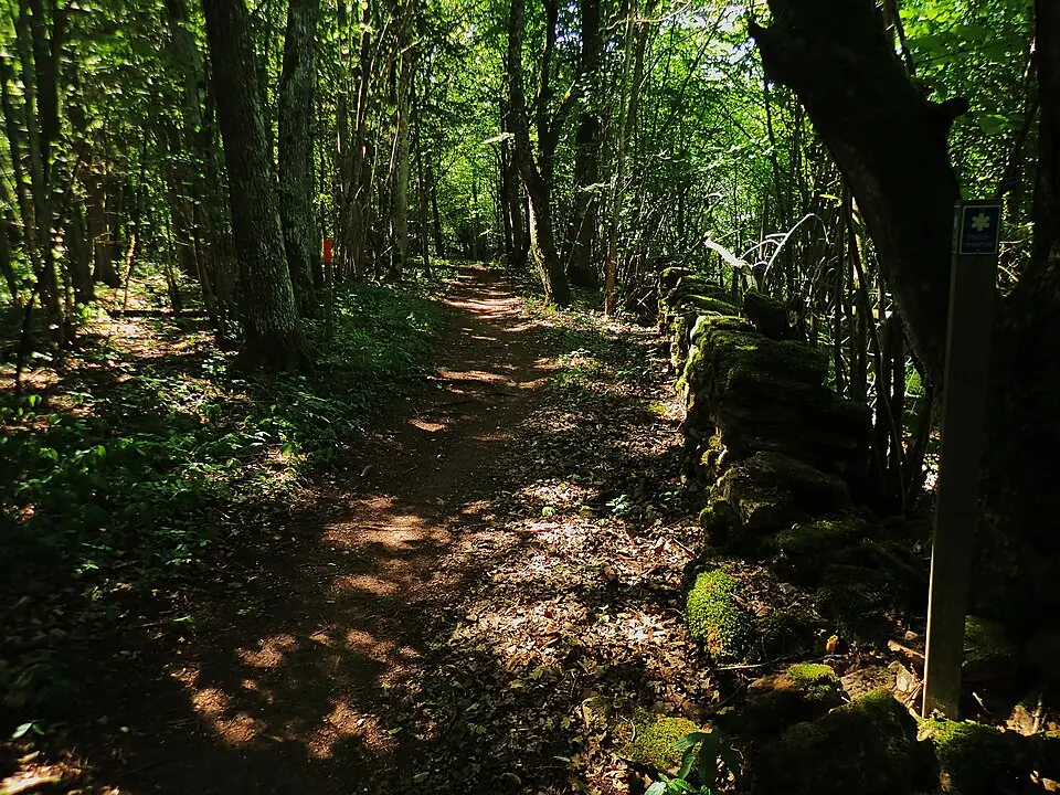 Blombergs naturreservat