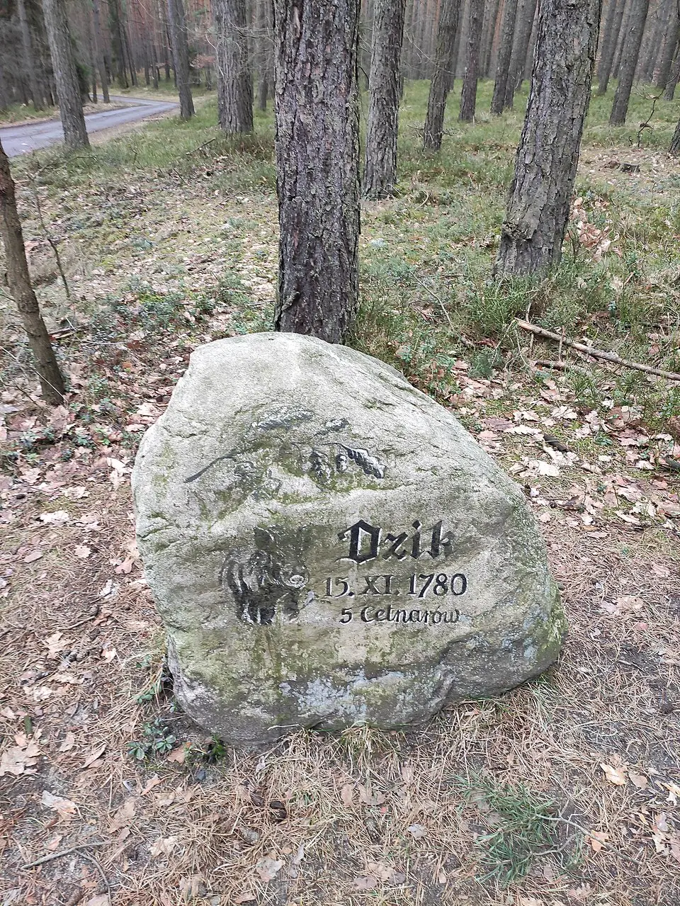 Pamatnik Dzik 5 Cetnarów