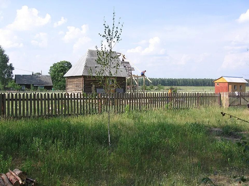 Blužski Bor