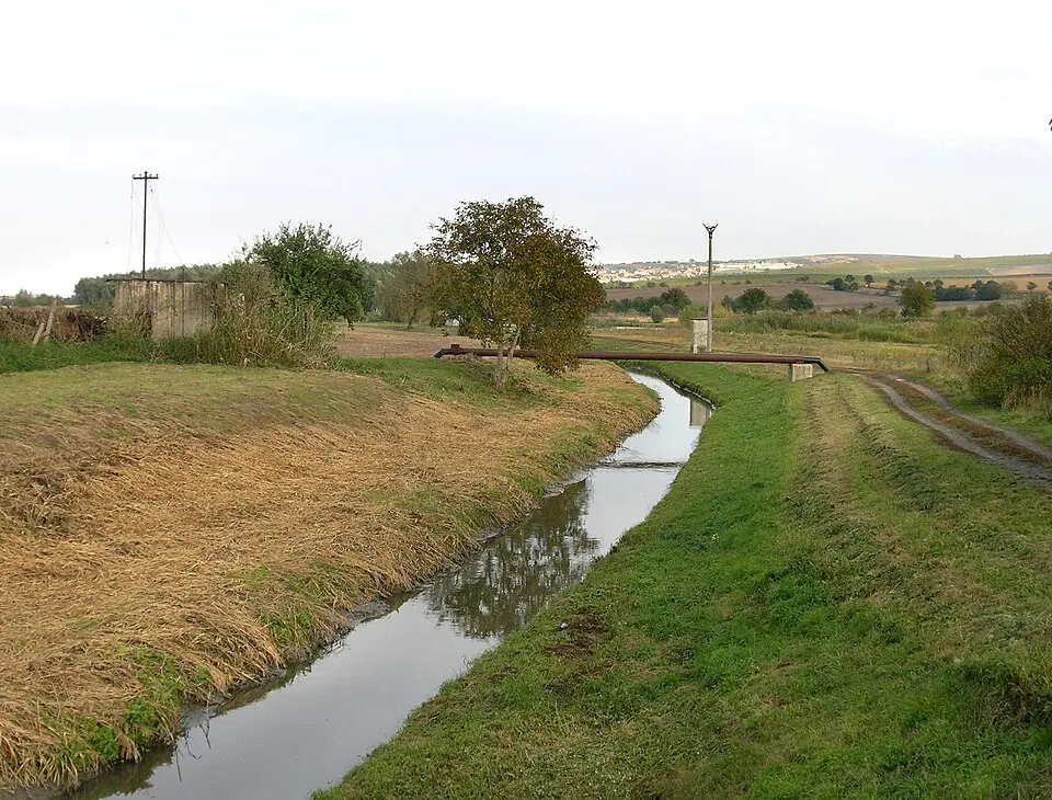 Trkmanka