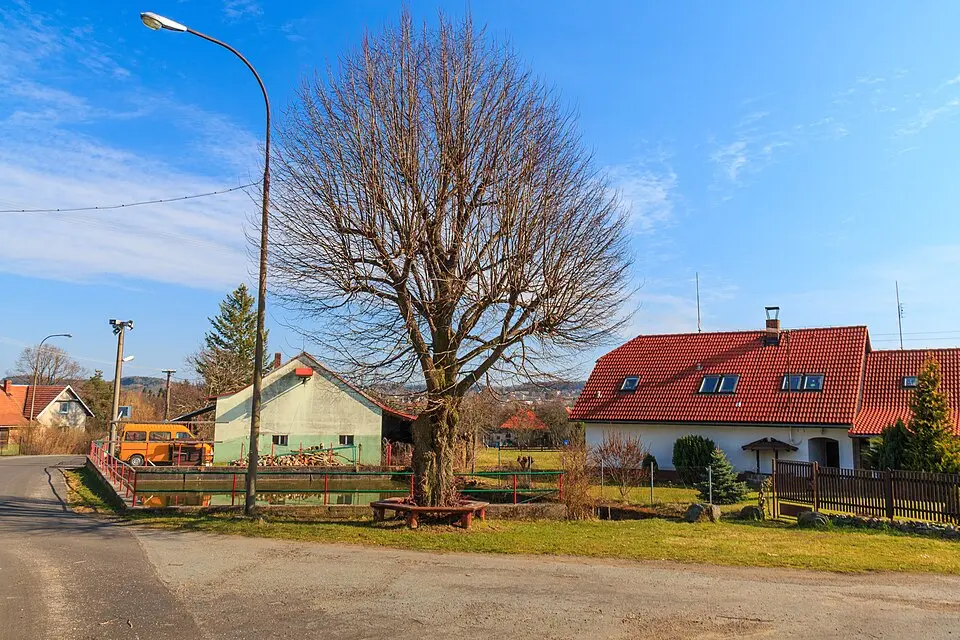 Bošov