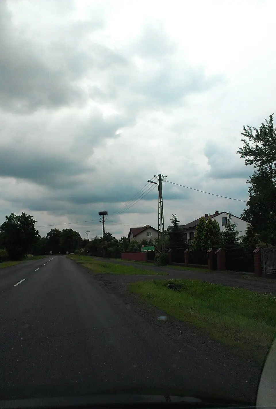 Dębina
