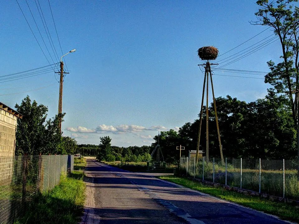 Borki