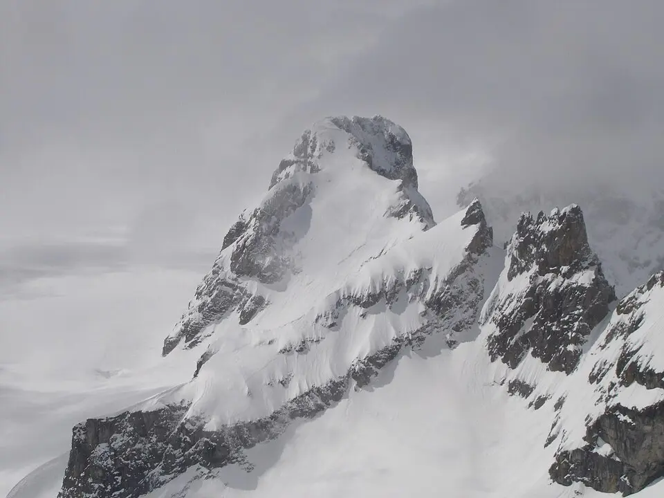 Boggtschingel