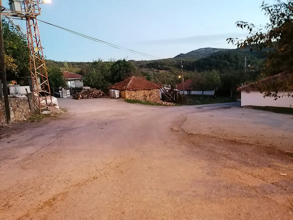 Bodurlar