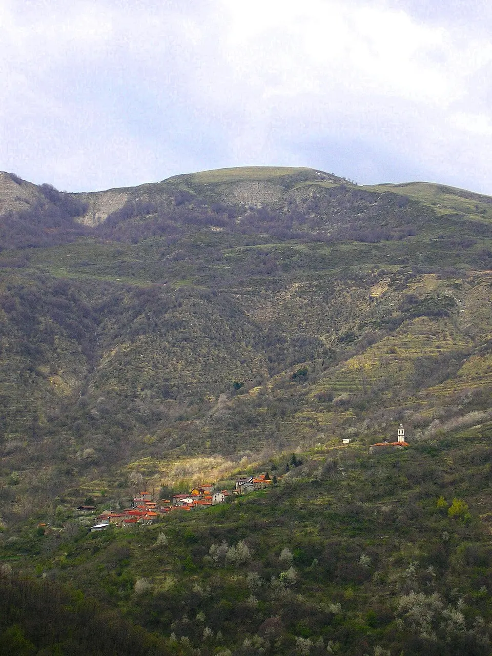 Bogli